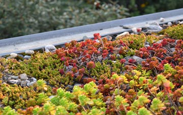 the cost of Sandygate green roof installation