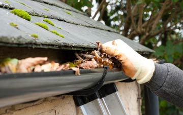 gutter cleaning Sandygate