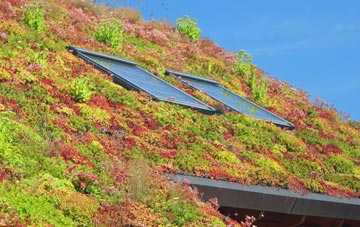 Sandygate living roof systems