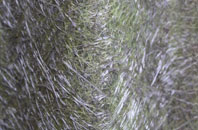 Sandygate fibreglass roof work